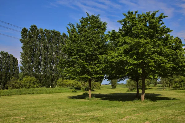 Open Space Parco Nella Campagna Italiana Primavera Una Giornata Sole — Foto Stock