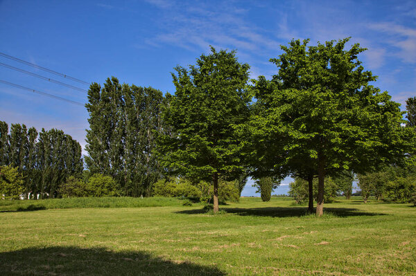 Open space in a park in the italian countryside in spring on a sunny day
