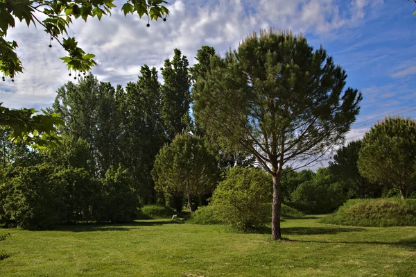 Espaço Aberto Parque Campo Italiano Primavera Dia Ensolarado — Fotografia de Stock