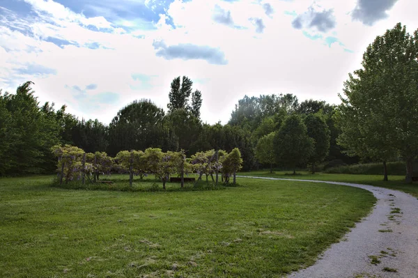 이탈리아 시골의 공원에 — 스톡 사진