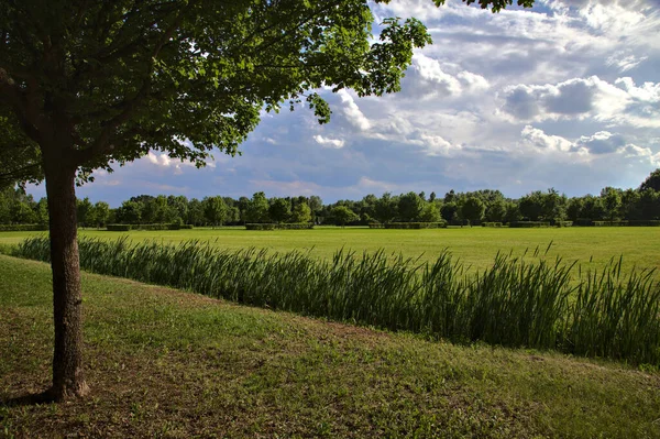 Cesta Parku Lemovaném Stromy Stínem Který Vrhají — Stock fotografie