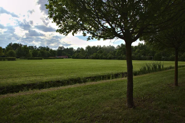 Weg Einem Park Der Von Bäumen Gesäumt Ist Deren Schatten — Stockfoto