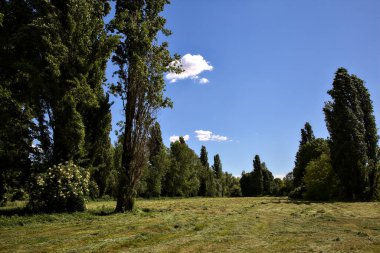 İlkbaharda İtalya kırsalında kesilmiş çimlerle çevrili küçük bir tarla.