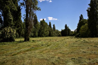 İlkbaharda İtalya kırsalında kesilmiş çimlerle çevrili küçük bir tarla.