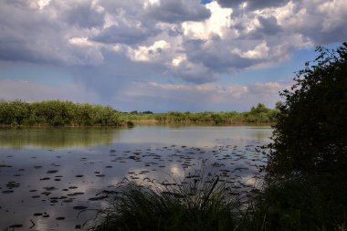 İtalya 'nın kırsal kesimlerinde ağaçlar ve çalılarla çevrili bir nehir.