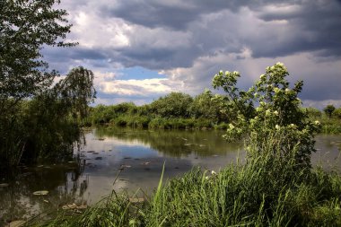 İtalya 'nın kırsal kesimlerinde ağaçlar ve çalılarla çevrili bir nehir.
