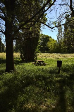 İtalya kırsalında bir ağacın altında gölgede piknik tezgahı