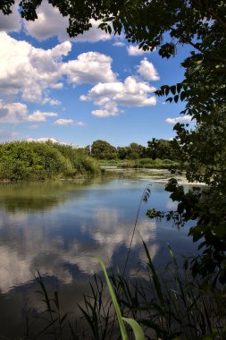 İtalya 'nın kırsal kesimlerinde ağaçlar ve çalılarla çevrili bir nehir.
