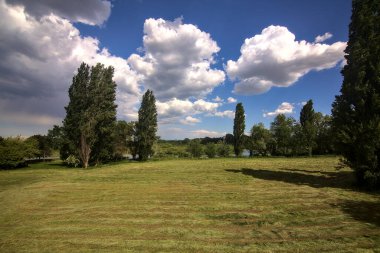 İlkbaharda İtalya kırsalında kesilmiş çimlerle çevrili küçük bir tarla.