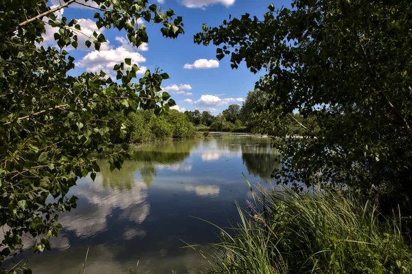 Fiume Nella Campagna Italiana Visto Dalla Riva Incorniciato Alberi Cespugli — Foto Stock