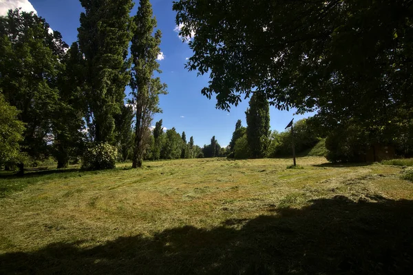 Piccolo Campo Delimitato Alberi Con Erba Tagliata Nella Campagna Italiana — Foto Stock