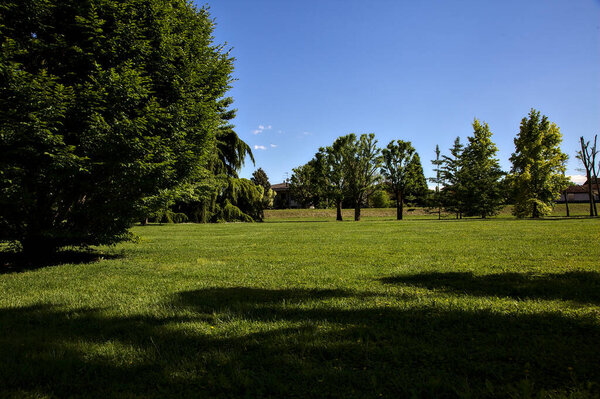 Open space with trees in a village in the italian countryside on a clear day