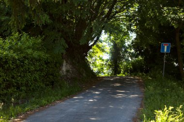 İtalya 'nın kırsal kesiminde, öğle vakti tepedeki bir yamaçta yol.