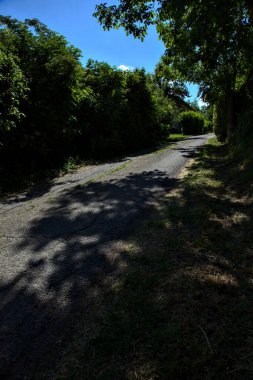 İtalya 'nın kırsal kesiminde, öğle vakti tepedeki bir yamaçta yol.