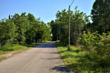 Gün batımında İtalya kırsalında ağaçlarla çevrili bir yol.
