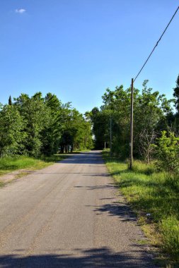 Gün batımında İtalya kırsalında ağaçlarla çevrili bir yol.