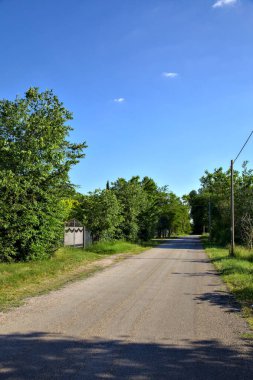 Gün batımında İtalya kırsalında ağaçlarla çevrili bir yol.