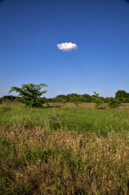Yazın günbatımında İtalya kırsalında tarla