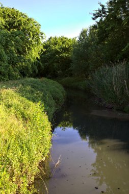 Yazın gün batımında, İtalya kırsalındaki bir korulukta gölgede akan su.