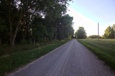 Gün batımında İtalya kırsalının gölgesinde bir tarla ile çevrili bir köy yolu.