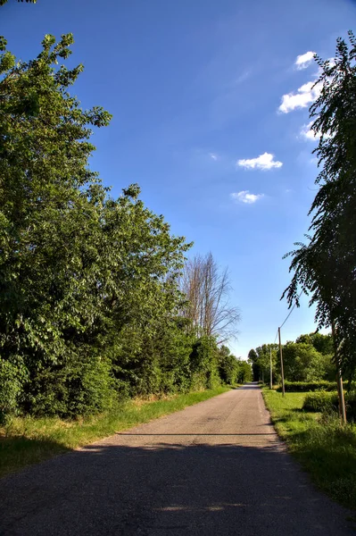 Gün Batımında Talya Kırsalında Ağaçlarla Çevrili Bir Yol — Stok fotoğraf