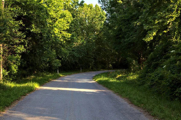 Strada Campagna All Ombra Boschetto Estate Tramonto — Foto Stock