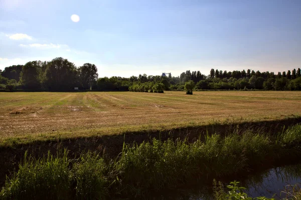 イタリアの田舎では夏の日没に葦と水の流れに囲まれた耕作場 — ストック写真