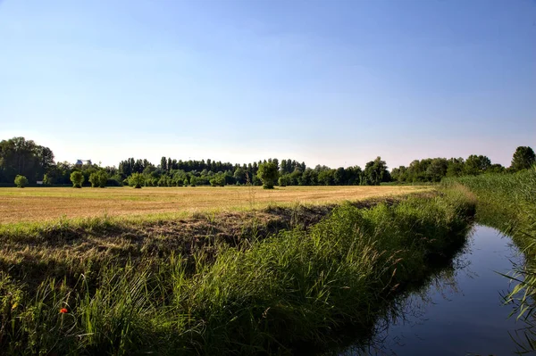 Вспаханное Поле Граничащее Ручьем Воды Тростником Закате Летом Итальянской Сельской — стоковое фото