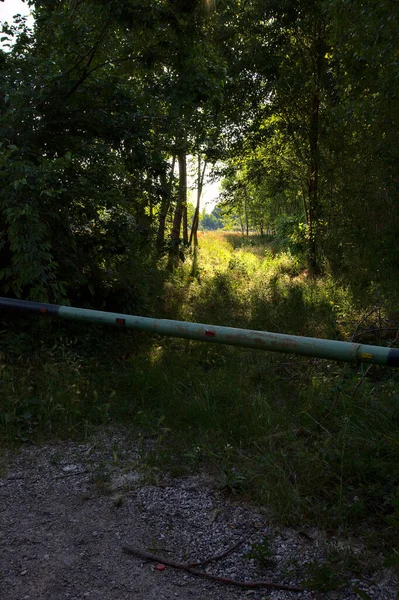 Weg Met Zonnestralen Die Door Bomen Het Italiaanse Platteland Zomer — Stockfoto