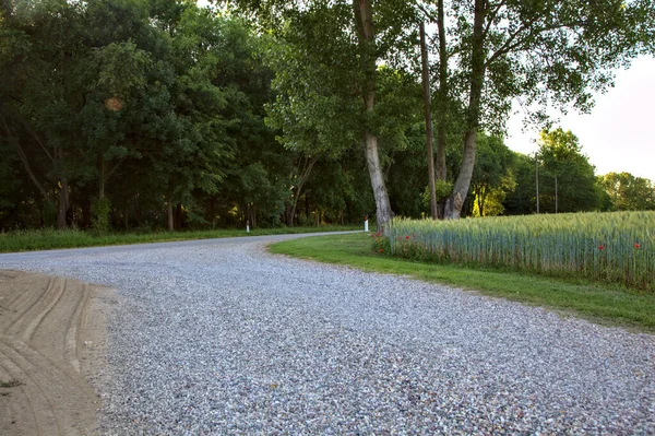 Fork with a gravel path in the shade in the countryside