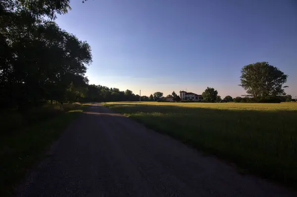 Country Road Bordered Field Shade Italian Countryside Sunset — Stock Photo, Image