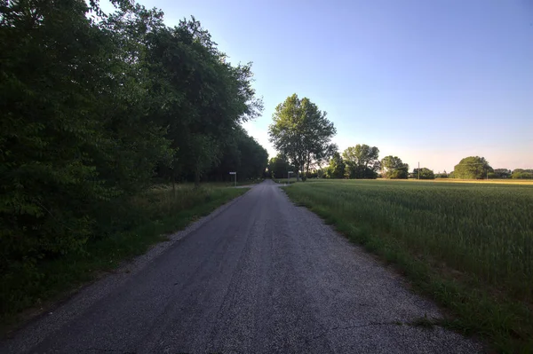 日没時にイタリアの田舎の日陰のフィールドに隣接する田舎道 — ストック写真