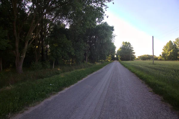 Gün batımında İtalya kırsalının gölgesinde bir tarla ile çevrili bir köy yolu.