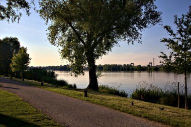 Yazın gün batımında gölün kıyısında ağaçların olduğu patika.