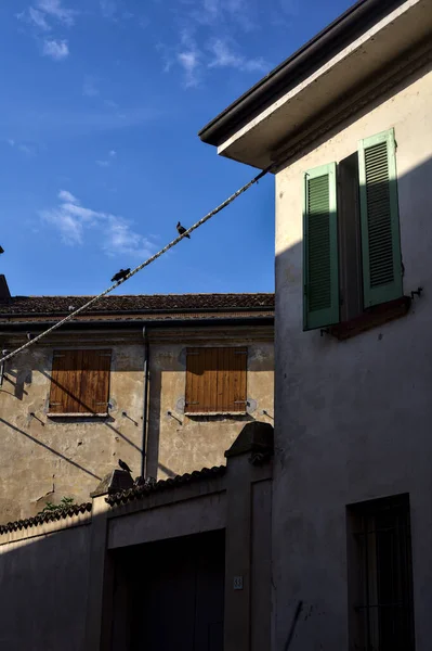 Pidgeons Uma Linha Energia Entre Dois Edifícios Uma Cidade Italiana — Fotografia de Stock