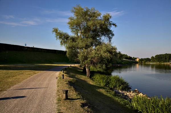 Yazın gün batımında gölün kıyısında ağaçların olduğu patika.