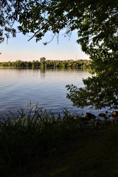 Sjön Vid Solnedgången Sommaren — Stockfoto