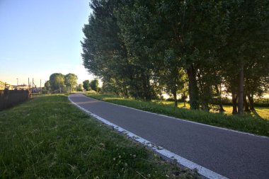 Path in the shade in a park at sunset in summer in an italian town