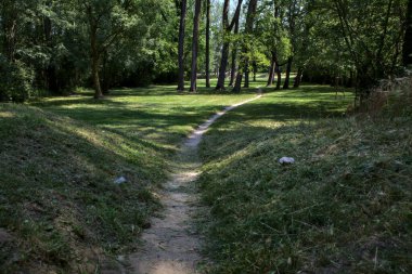 Dirt trail under the trees of a park in an italian town at noon in summer