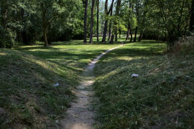 Dirt trail under the trees of a park in an italian town at noon in summer