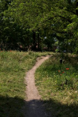Dirt trail under the trees of a park in an italian town at noon in summer