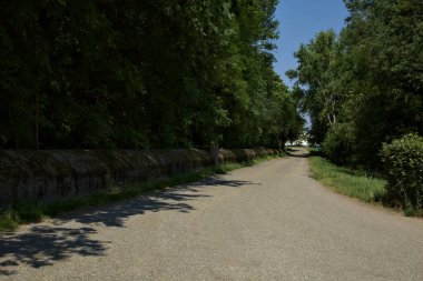 Road in a park in the countryside bordered by trees at noon