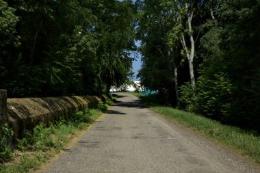 Road in a park in the countryside bordered by trees at noon