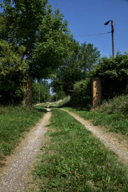 Dirt path in a park in the italian countryside at noon