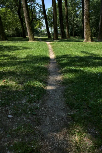 Dirt Trail Trees Park Italian Town Noon Summer — Stok fotoğraf