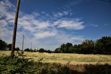 İtalya 'nın kırsal kesiminde açık bir yaz gününde arka planda bir köşkü olan kesilmiş çimenli bir tarla.