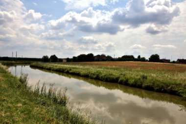 İtalya 'nın kırsal kesimlerinde bir yaz günü su deresinin yanındaki ekilmemiş tarla gelincikleriyle dolu.