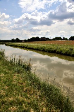 İtalya 'nın kırsal kesimlerinde bir yaz günü su deresinin yanındaki ekilmemiş tarla gelincikleriyle dolu.