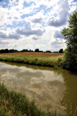 İtalya 'nın kırsal kesimlerinde bir yaz günü su deresinin yanındaki ekilmemiş tarla gelincikleriyle dolu.