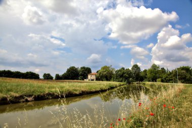 Arka planda terk edilmiş bir evi olan ekilmemiş gelinciklerle dolu bir tarla İtalya 'nın kırsal kesimlerinde bir yaz günü su deresinin yanında.